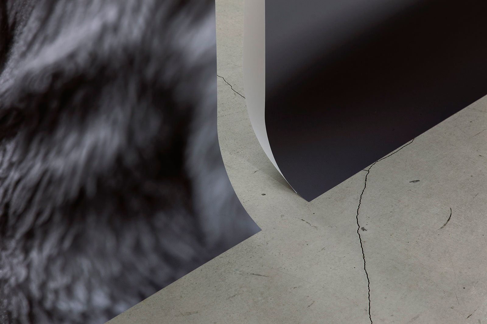 ARATA SASAKI NOVEL EXHIBITION