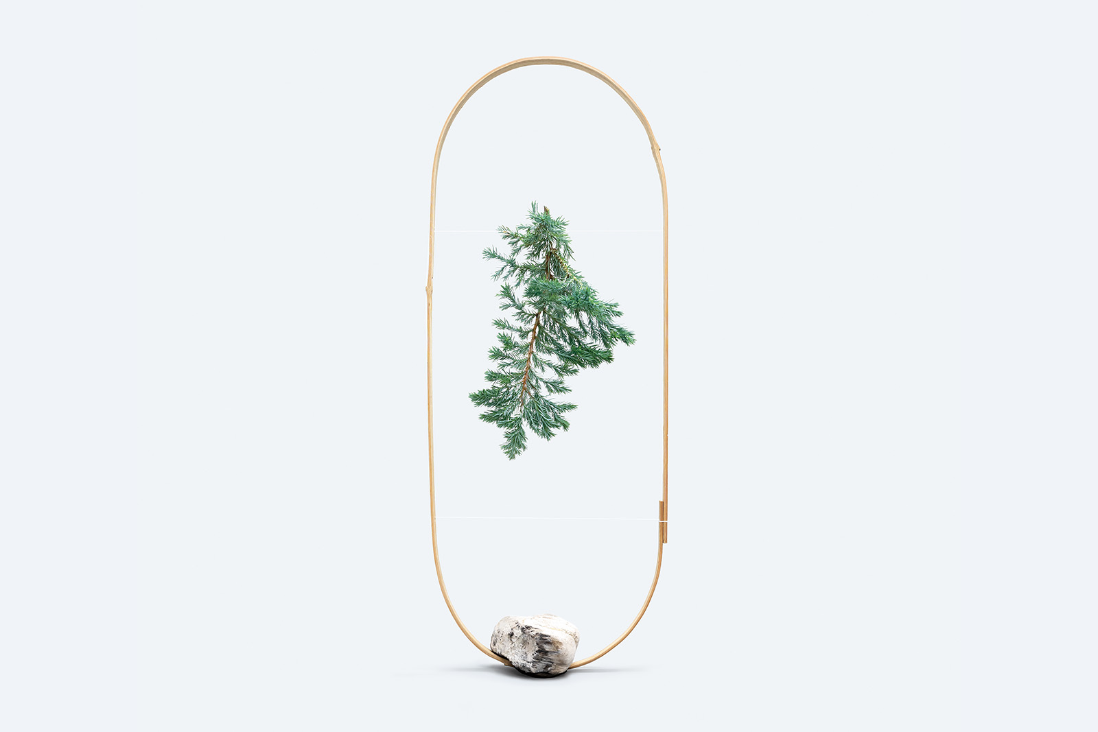 Botanical Composition 