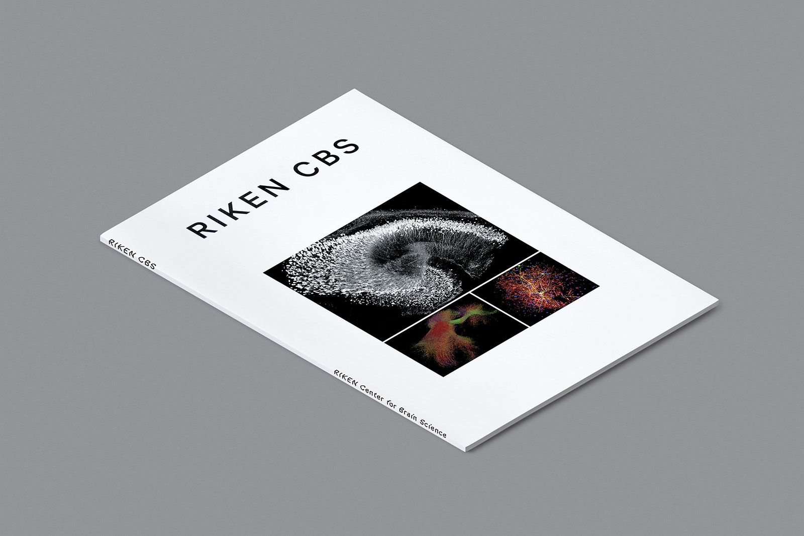 RIKEN CBS